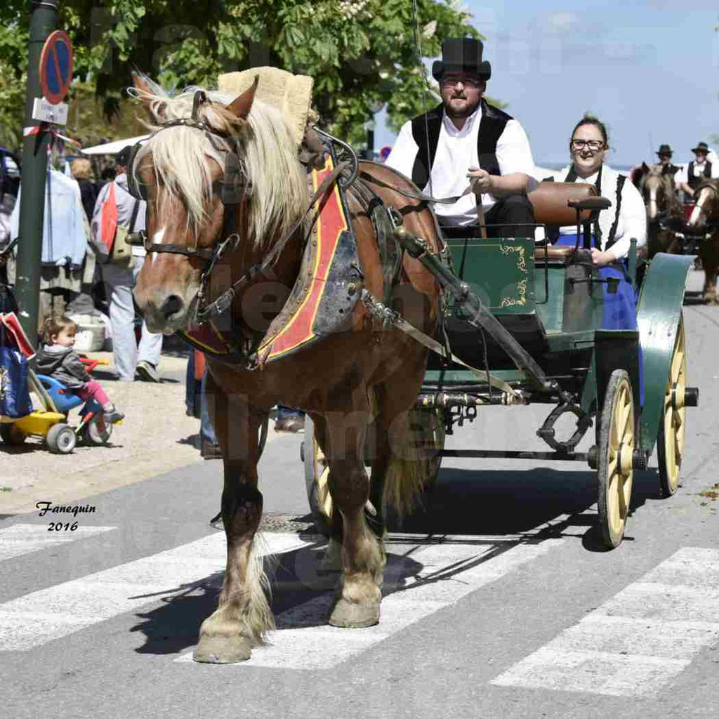 Défilé d'attelage à Villeneuve d'Aveyron le 15 Mai 2016 - Simple cheval lourd - 13