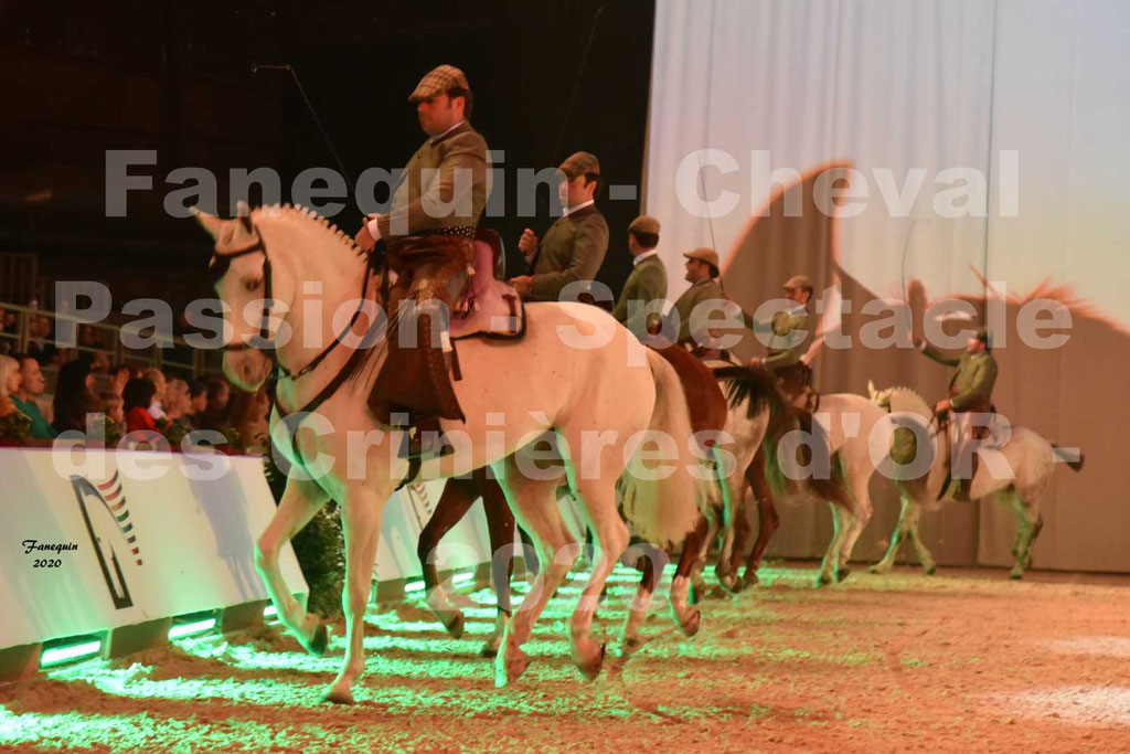 Cheval Passion 2020 - Les Crinières d'OR - RAPHAËL ARCOS - 17