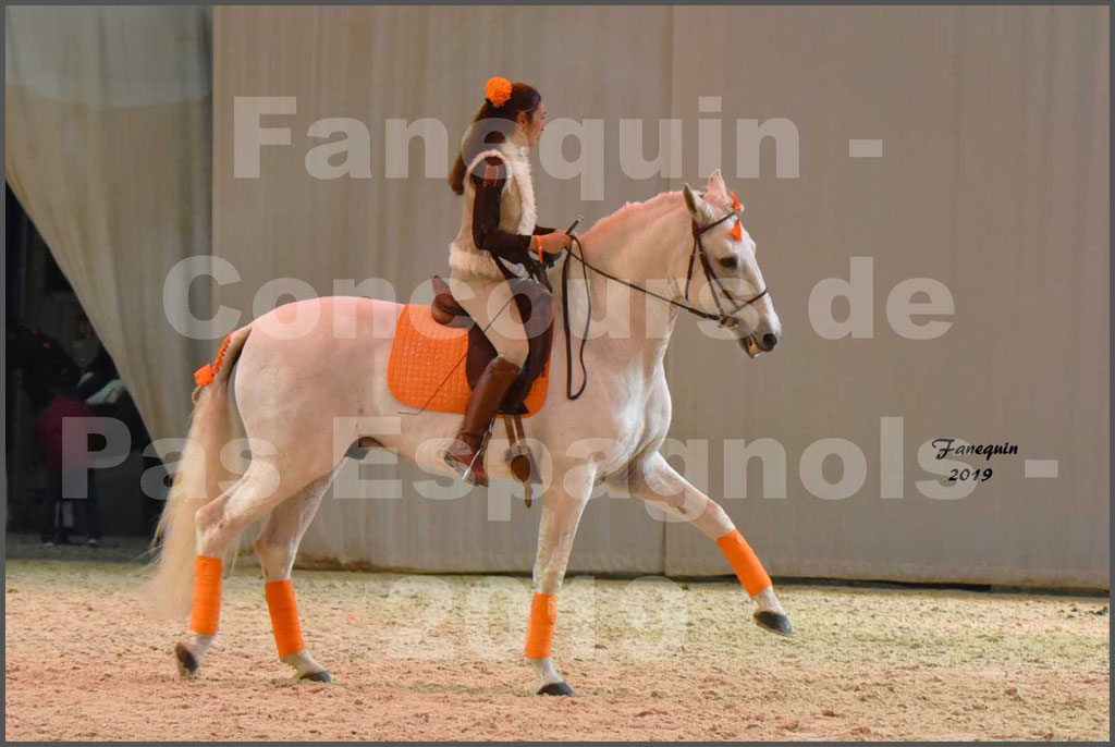 Cheval Passion 2019 - Concours de Pas Espagnol - Étalon "ZIDANE" - 46