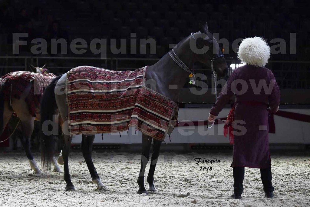 Cheval passion 2018 - Show des éleveurs - AKHAL TEKE - Notre Sélection - 7