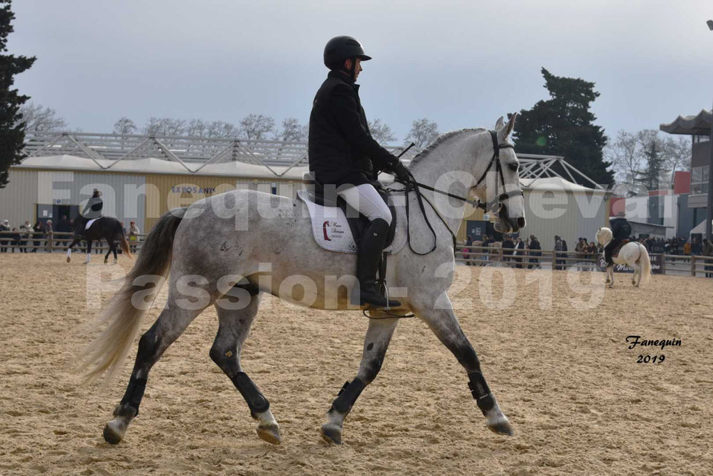 Cheval Passion 2019 - Chevaux LIPIZZAN dehors montés - 26