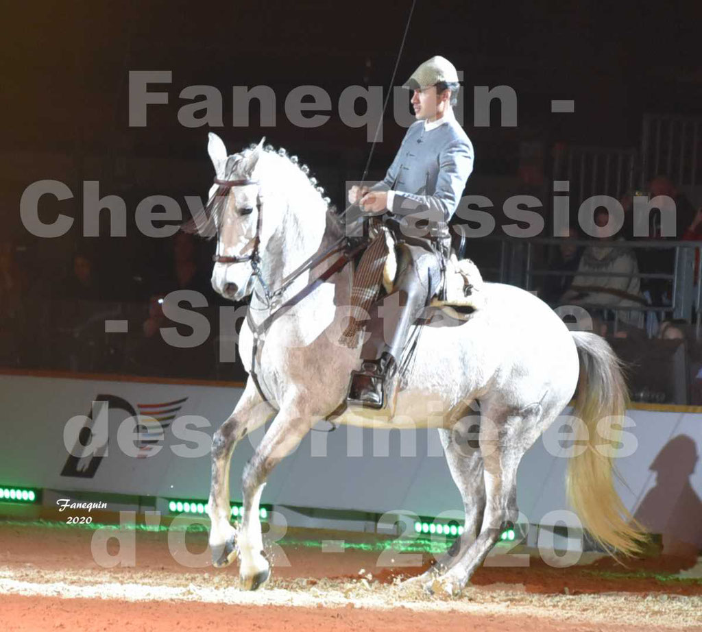 Cheval Passion 2020 - Les Crinières d'OR - RAPHAËL ARCOS - 31