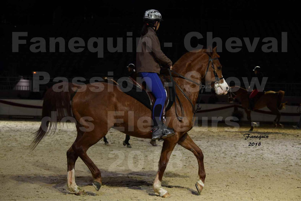 Cheval passion 2018 - Show des éleveurs - Chevaux ARABES - Notre Sélection - 36