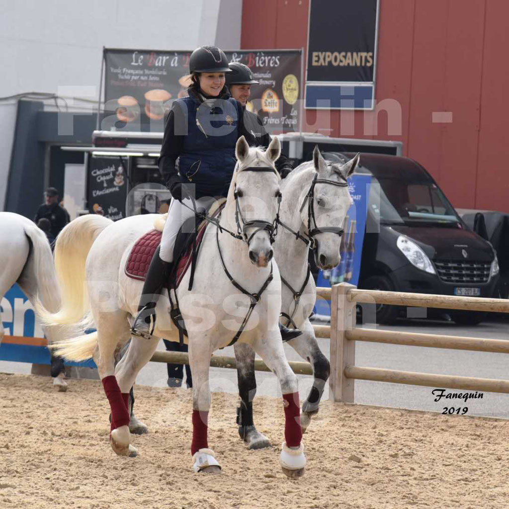 Cheval Passion 2019 - Chevaux LIPIZZAN dehors montés - 11