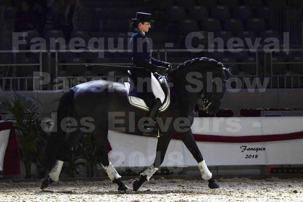 Cheval passion 2018 - Show des éleveurs - Chevaux ESPAGNOL - Notre Sélection 2 - 10