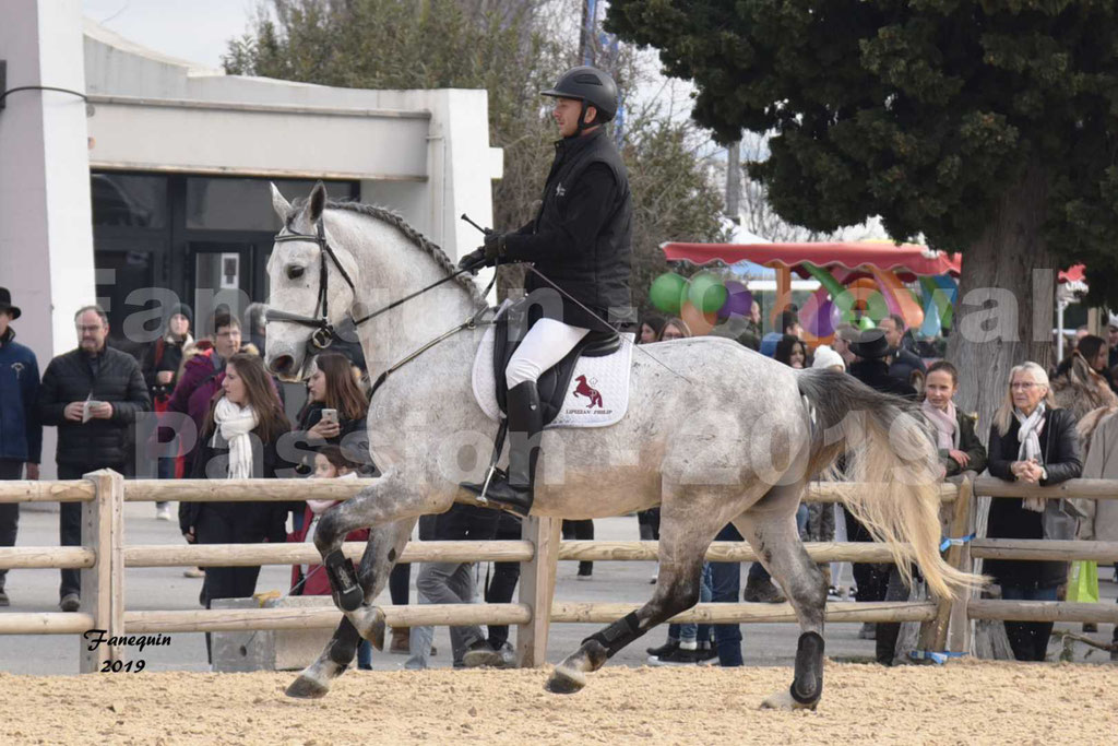 Cheval Passion 2019 - Chevaux LIPIZZAN dehors montés - 33