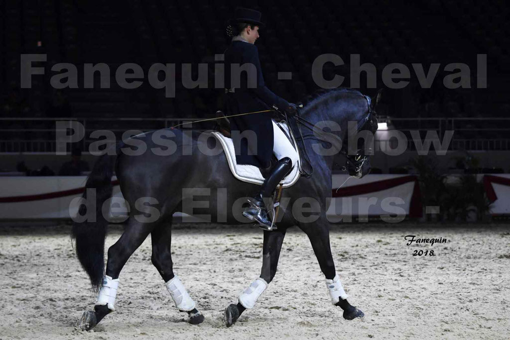 Cheval passion 2018 - Show des éleveurs - Chevaux ESPAGNOL - Notre Sélection 2 - 19