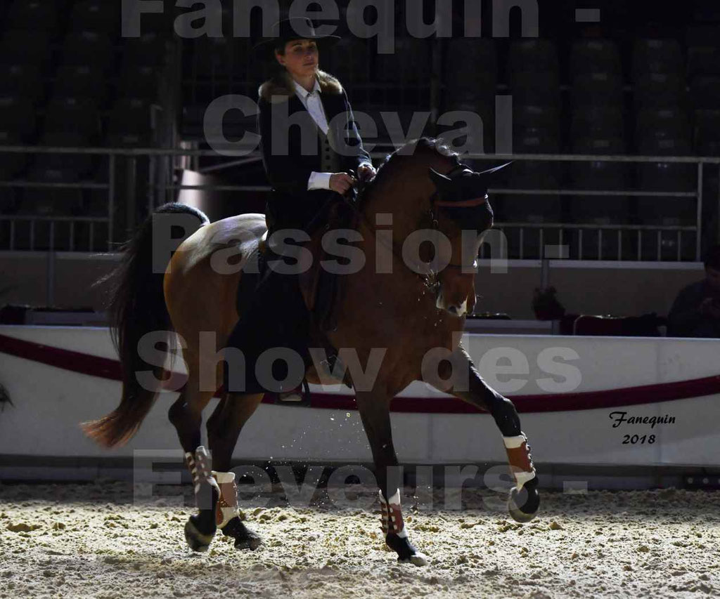 Cheval passion 2018 - Show des éleveurs - Chevaux LUSITANIEN - Institut Français des Arts Équestres - Notre Sélection - 50