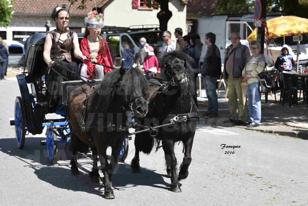 Défilé d'attelage à Villeneuve d'Aveyron le 15 Mai 2016 - Paire Poneys Shetland - 07
