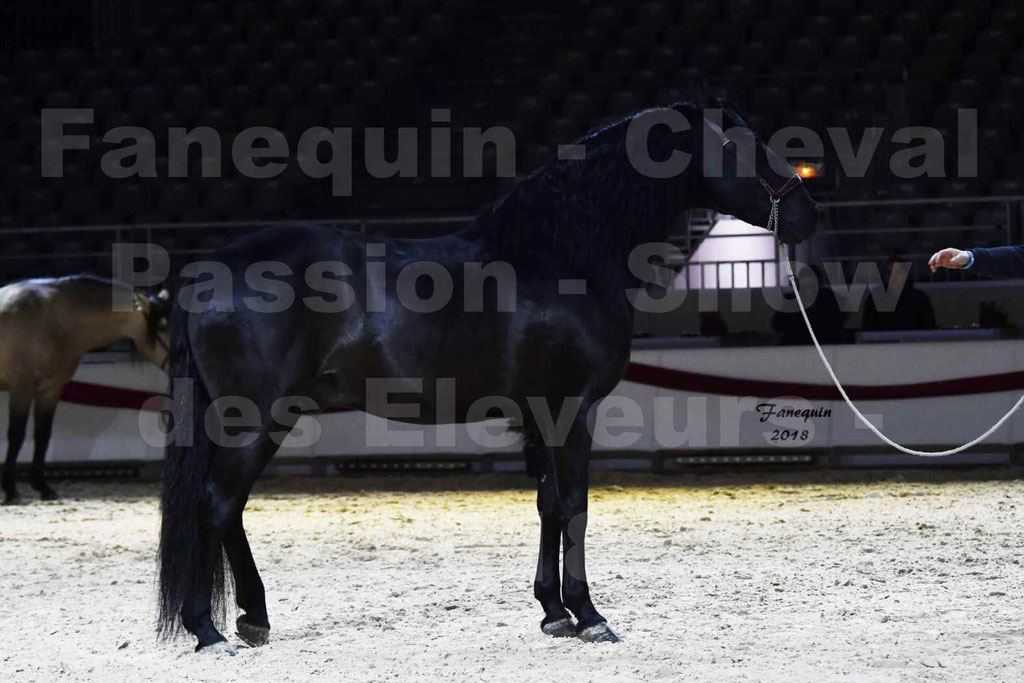 Cheval passion 2018 - Show des éleveurs - Chevaux ESPAGNOL - Notre Sélection - 15