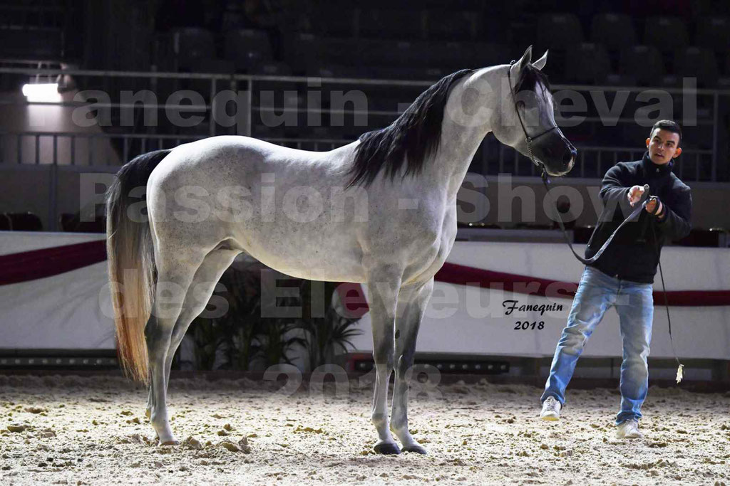 Cheval passion 2018 - Show des éleveurs - Chevaux ARABES - Notre Sélection - 52