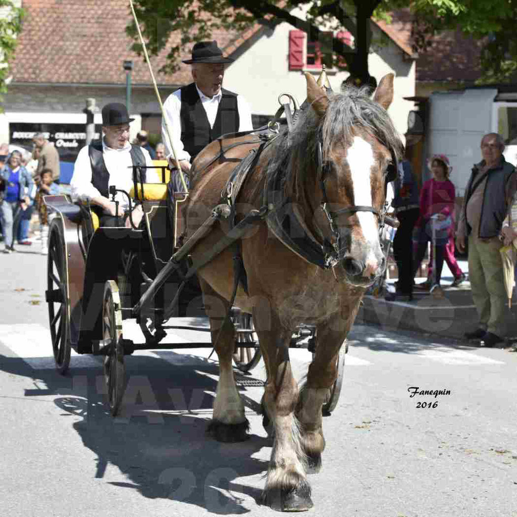 Défilé d'attelage à Villeneuve d'Aveyron le 15 Mai 2016 - Simple cheval lourd - 09
