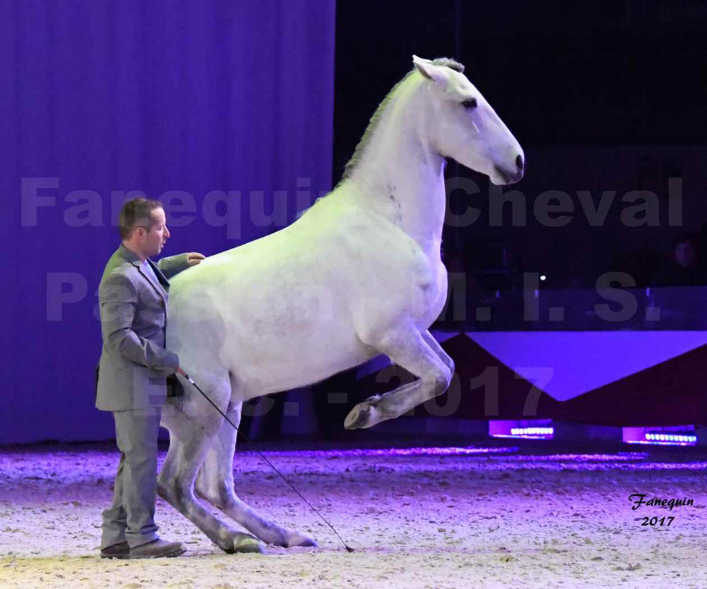 Cheval Passion 2017 - M. I. S. E. C. - Ludovic LONGO & 1 cheval en liberté