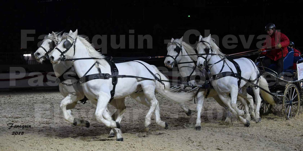 Cheval passion 2018 - Show des éleveurs - Chevaux CAMARGUE - "attelage Team" - Notre Sélection - 10