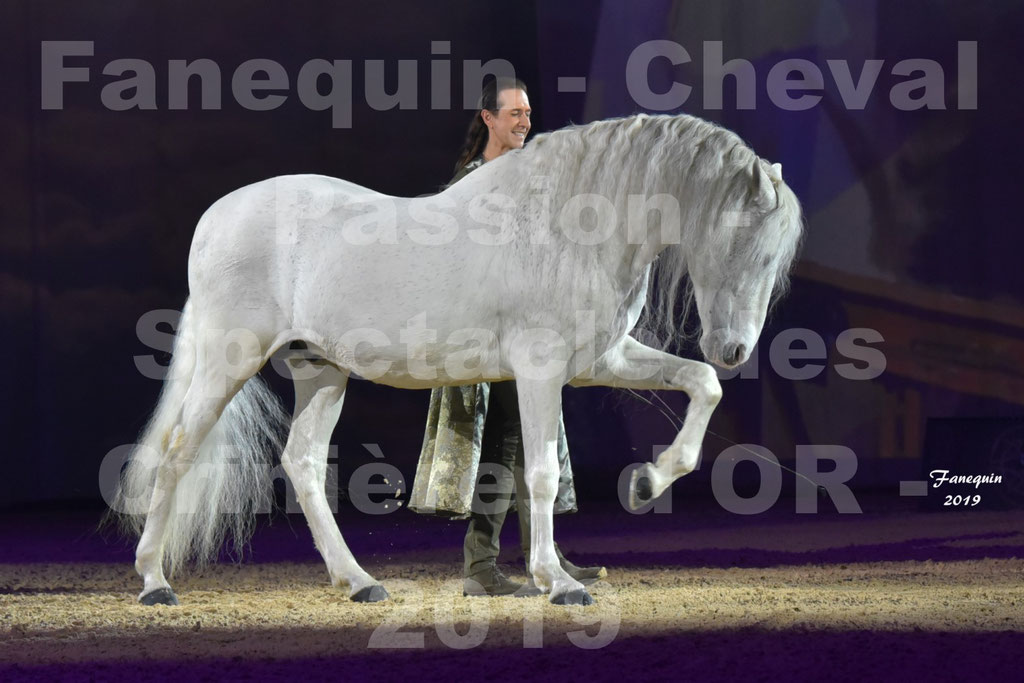 Cheval Passion 2019 - Spectacle Les CRINIÈRES d'OR - Frédéric PIGNON & cheval Ibérique gris en liberté