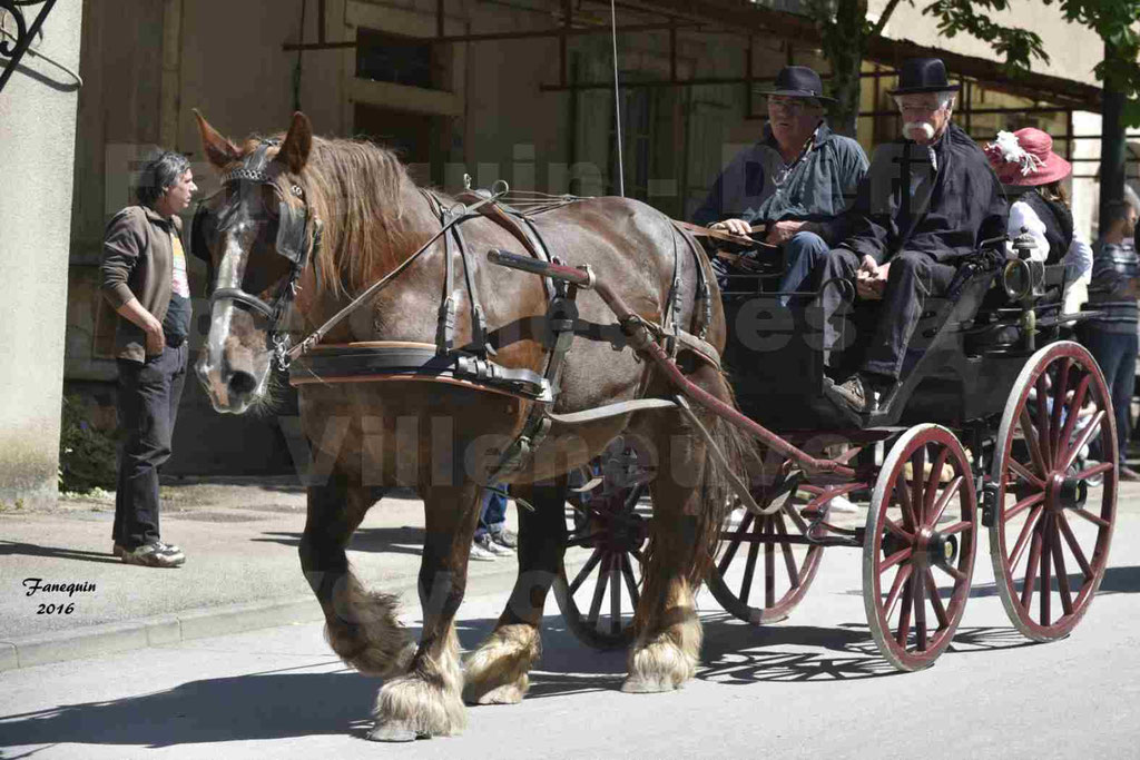 Défilé d'attelage à Villeneuve d'Aveyron le 15 Mai 2016 - Simple cheval lourd - 18
