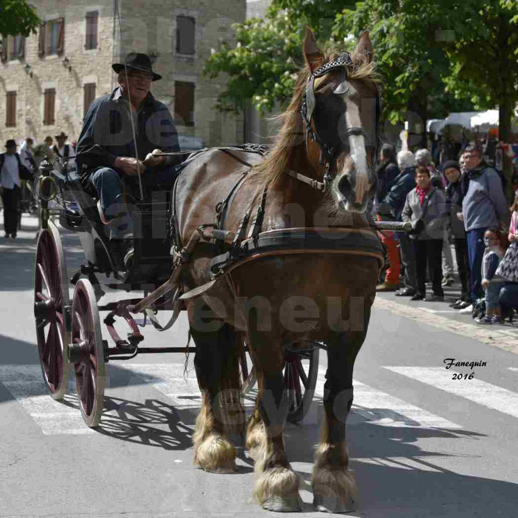 Défilé d'attelage à Villeneuve d'Aveyron le 15 Mai 2016 - Simple cheval lourd - 02