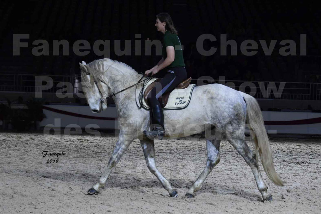 Cheval passion 2018 - Show des éleveurs - Chevaux BARBES - Notre Sélection - 06