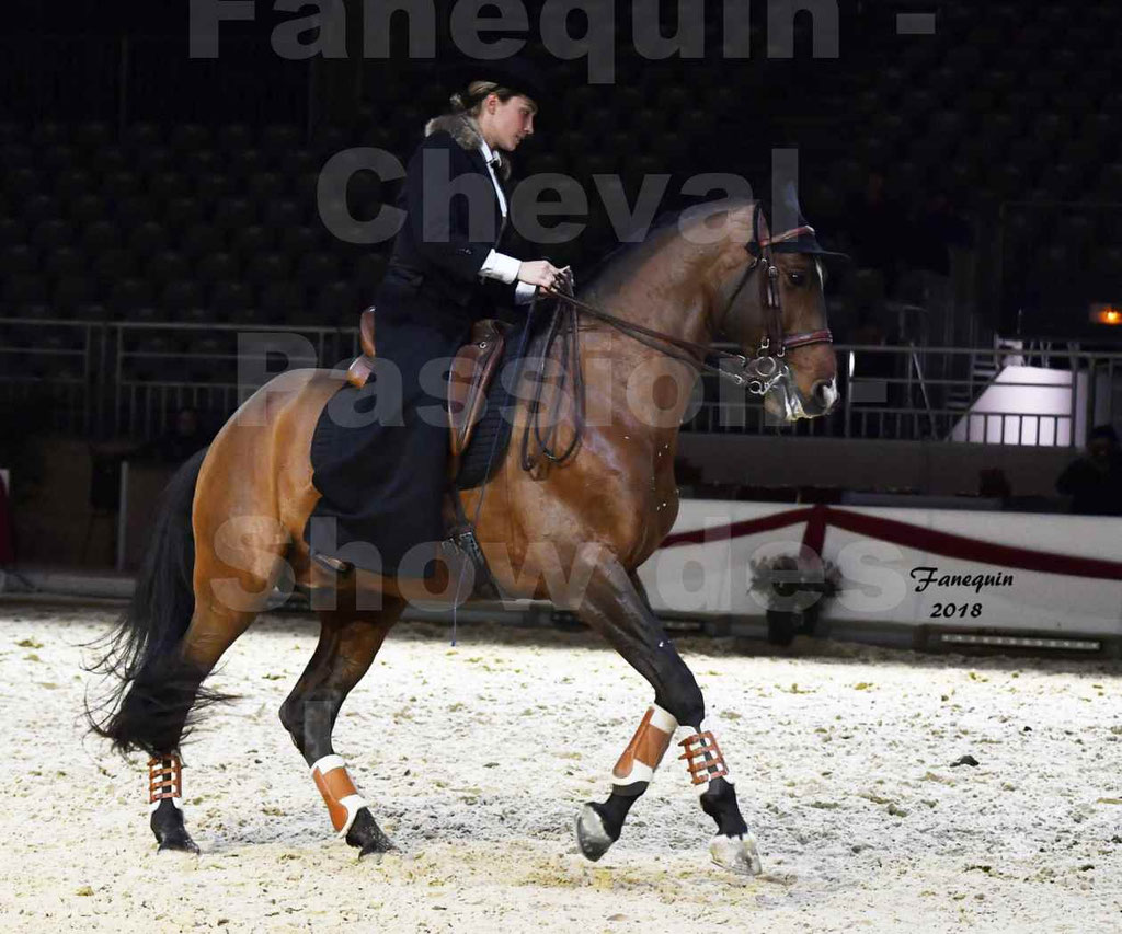 Cheval passion 2018 - Show des éleveurs - Chevaux LUSITANIEN - Institut Français des Arts Équestres - Notre Sélection - 53
