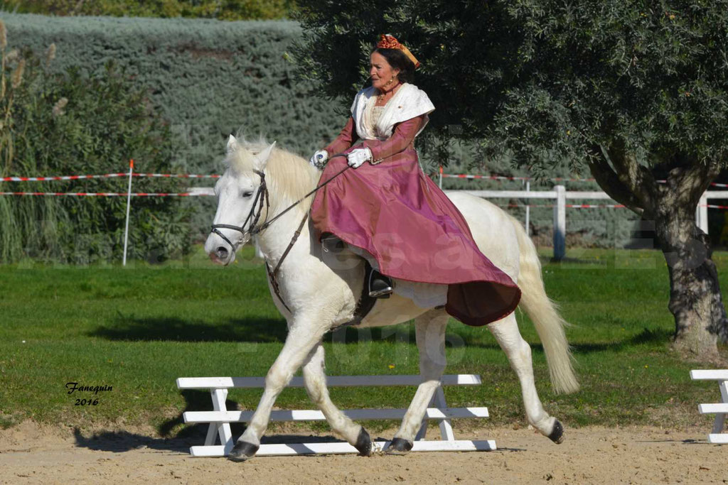 rencontres Amazones au Haras d'UZES 2016 - Renée ENJALBERT