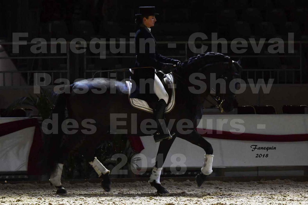 Cheval passion 2018 - Show des éleveurs - Chevaux ESPAGNOL - Notre Sélection 2 - 09