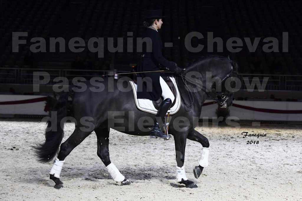 Cheval passion 2018 - Show des éleveurs - Chevaux ESPAGNOL - Notre Sélection 2 - 20