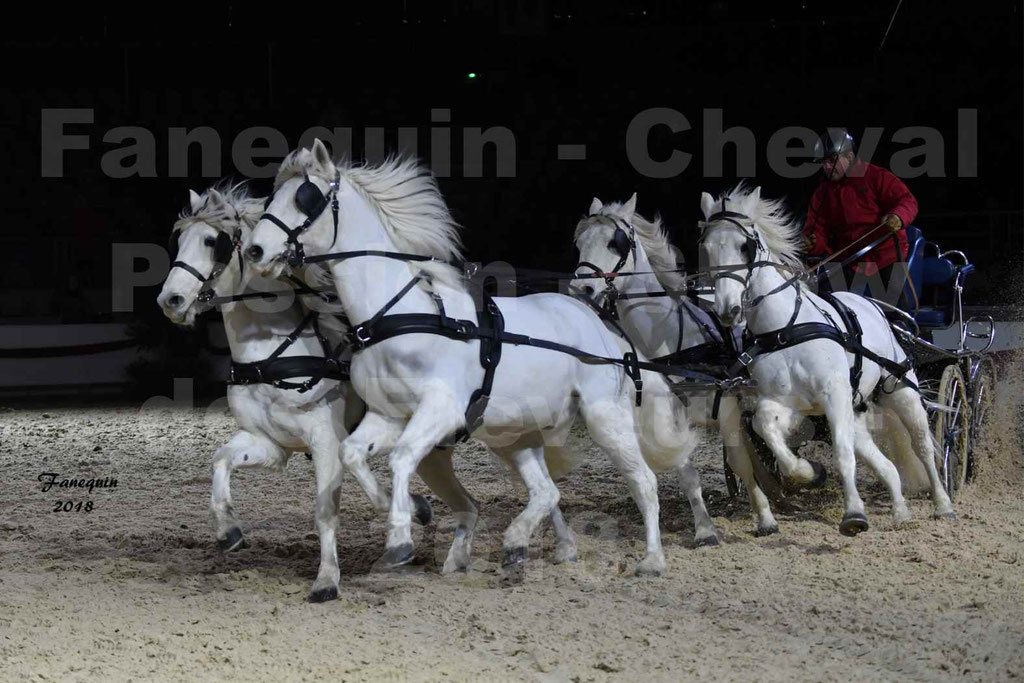 Cheval passion 2018 - Show des éleveurs - Chevaux CAMARGUE - "attelage Team" - Notre Sélection - 6