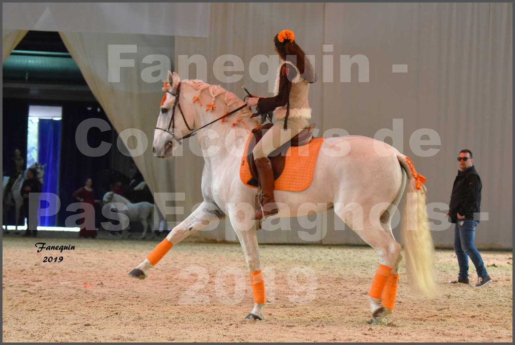 Cheval Passion 2019 - Concours de Pas Espagnol - Étalon "ZIDANE" - 52