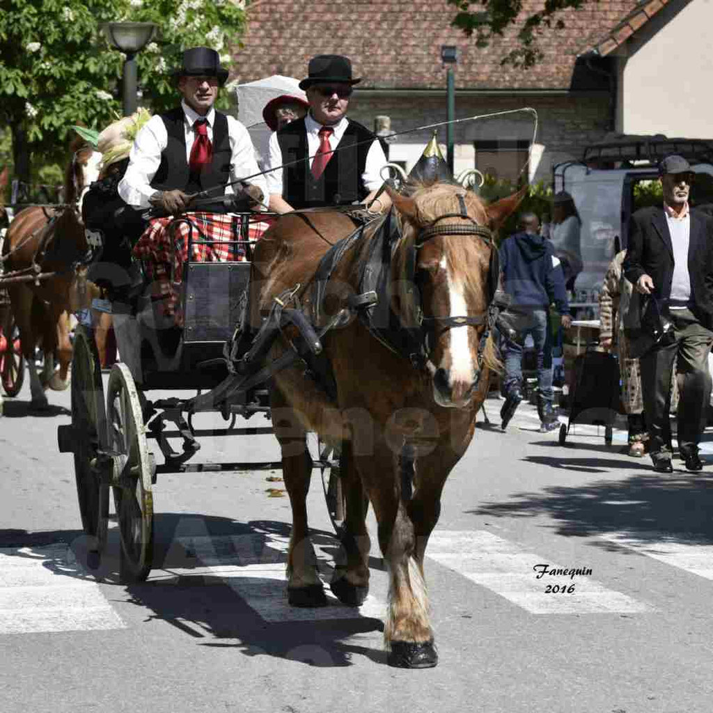 Défilé d'attelage à Villeneuve d'Aveyron le 15 Mai 2016 - Simple cheval lourd - 08