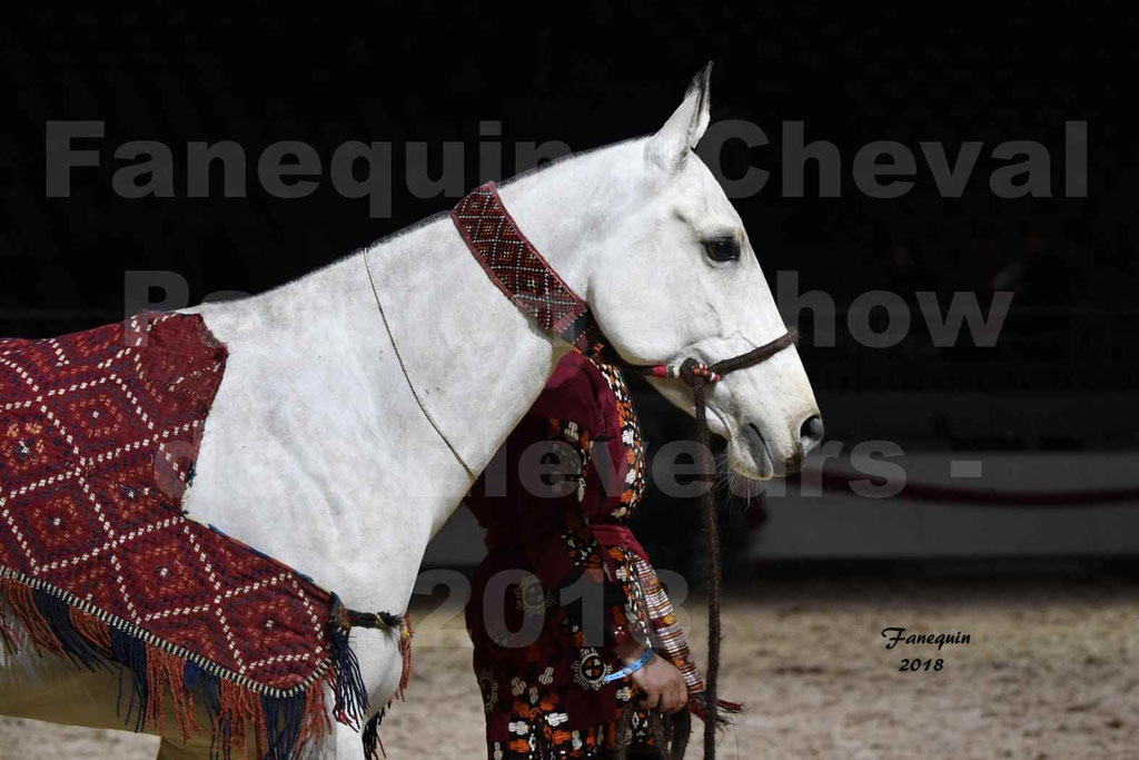 Cheval passion 2018 - Show des éleveurs - AKHAL TEKE - Notre Sélection - Portraits - 4