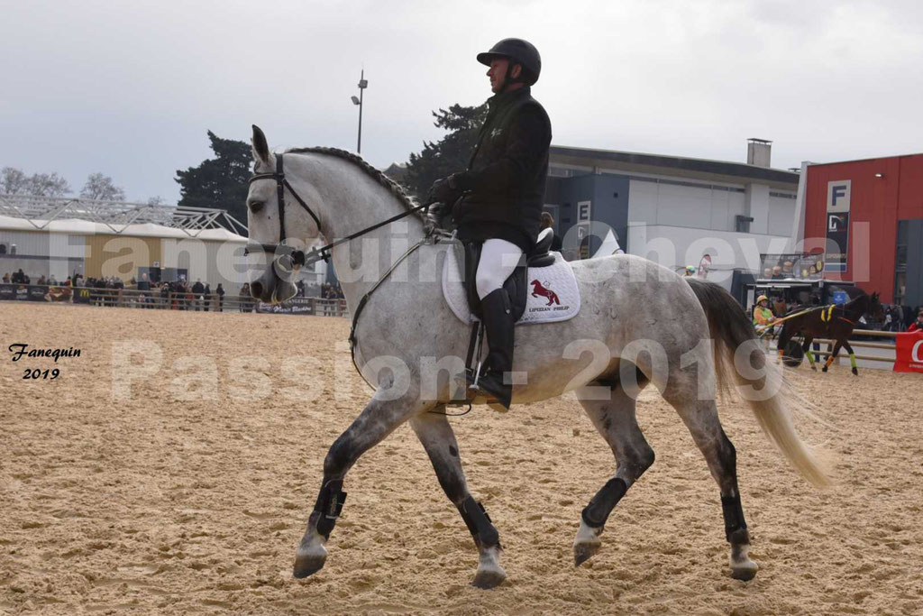 Cheval Passion 2019 - Chevaux LIPIZZAN dehors montés - 15