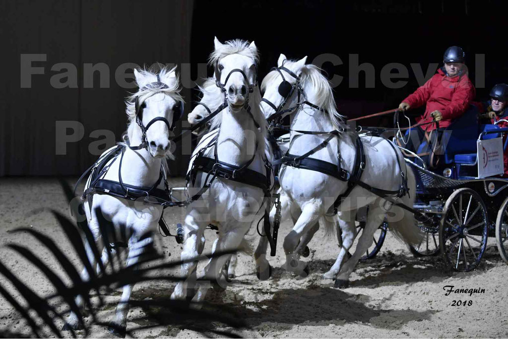 Cheval passion 2018 - Show des éleveurs - Chevaux CAMARGUE - "attelage Team" - Notre Sélection - 4