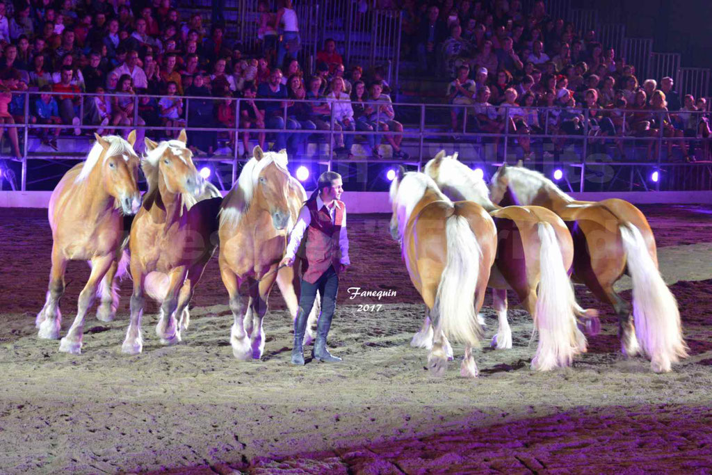 "Nuits Équestres" - Féria de BEZIERS 2017 - Les Comtois en folie de Guillaume MAUVAIS