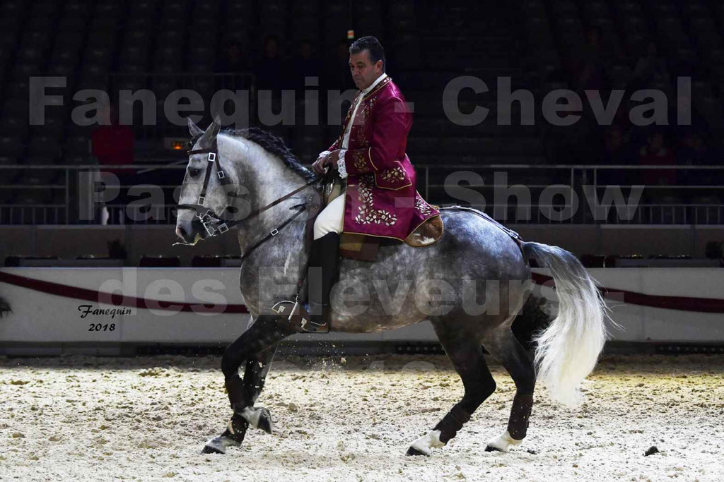 Cheval passion 2018 - Show des éleveurs - Chevaux LUSITANIEN - Tony MARTINS - Notre Sélection - 14