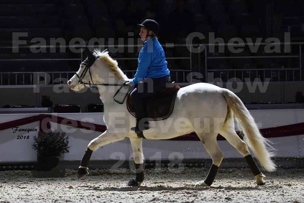 Cheval passion 2018 - Show des éleveurs - Poneys CONNEMARA - Notre Sélection - 6
