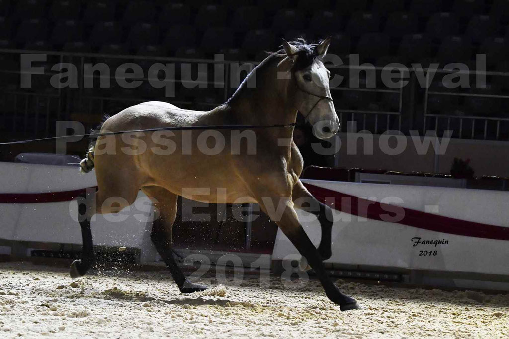 Cheval passion 2018 - Show des éleveurs - Chevaux LUSITANIEN 