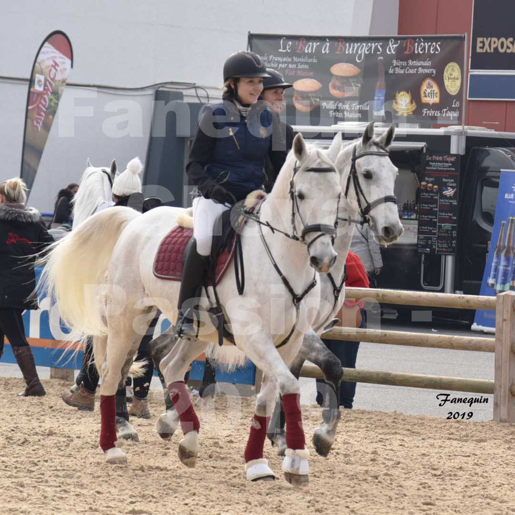 Cheval Passion 2019 - Chevaux LIPIZZAN dehors montés - 09