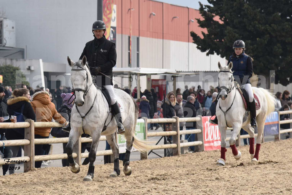 Cheval Passion 2019 - Chevaux LIPIZZAN dehors montés - 25