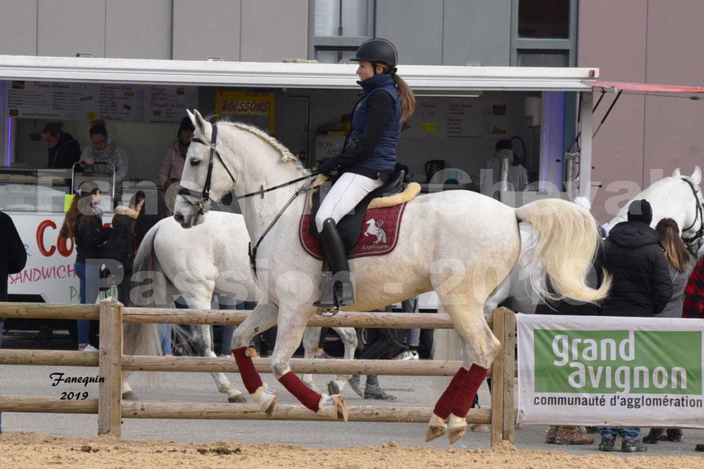 Cheval Passion 2019 - Chevaux LIPIZZAN dehors montés - 28