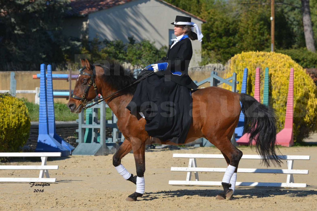 rencontres Amazones au Haras d'UZES 2016 - Laurence PINARD
