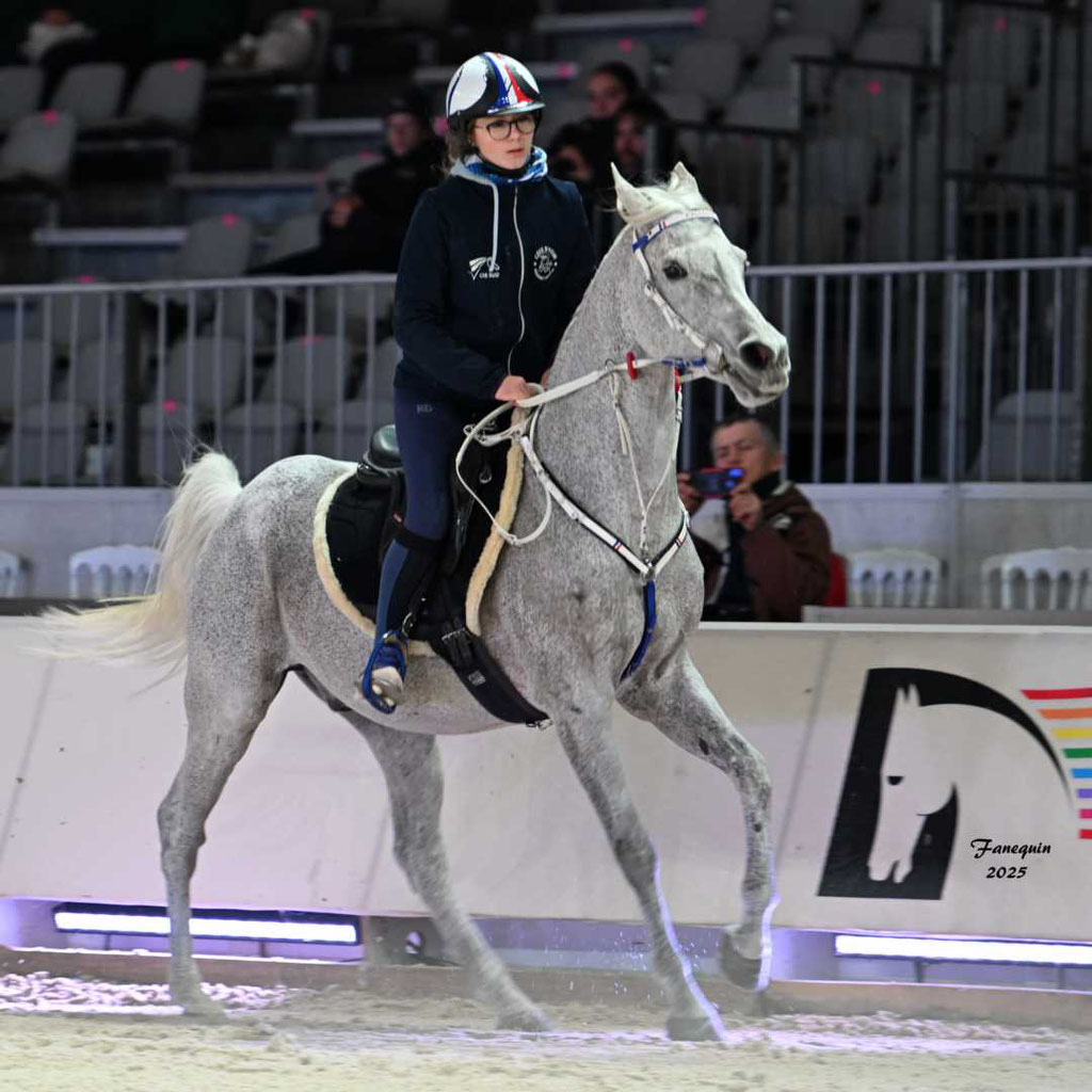 Cheval passion 2025 - Show d'Elevages - Chevaux ARABES d'Endurance