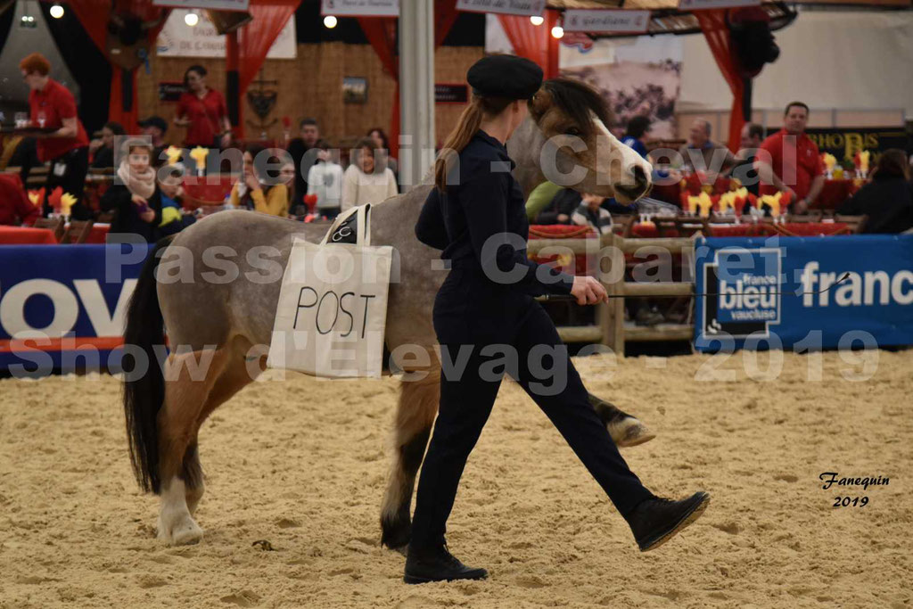 Cheval Passion 2019 - Cabaret Équestre - CATHY MITTIG