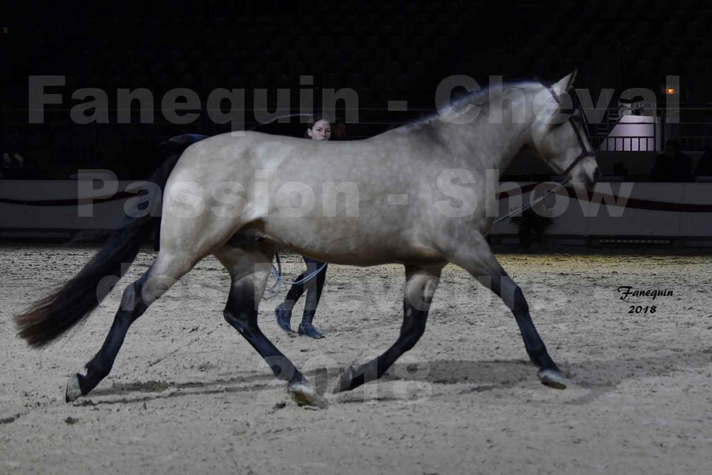 Cheval passion 2018 - Show des éleveurs - Chevaux ESPAGNOL - Notre Sélection - 08