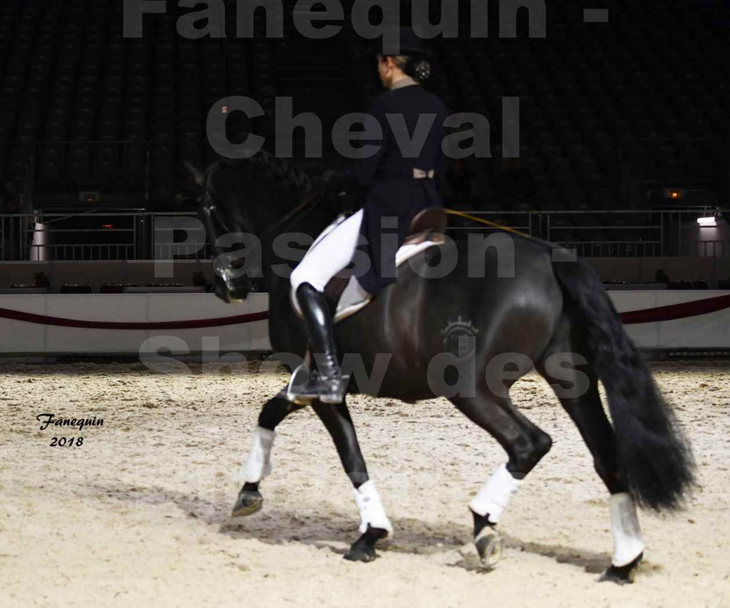 Cheval passion 2018 - Show des éleveurs - Chevaux ESPAGNOL - Notre Sélection 2 - 15