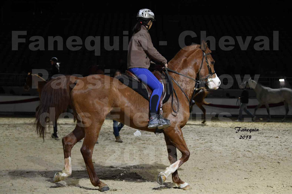 Cheval passion 2018 - Show des éleveurs - Chevaux ARABES - Notre Sélection - 38