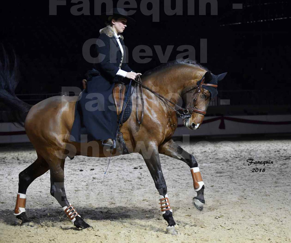 Cheval passion 2018 - Show des éleveurs - Chevaux LUSITANIEN - Institut Français des Arts Équestres - Notre Sélection - 55