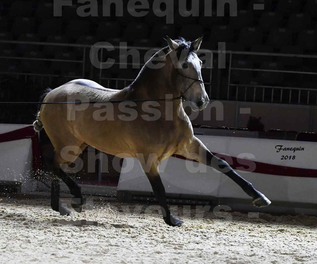 Cheval passion 2018 - Show des éleveurs - Chevaux LUSITANIEN - Notre Sélection - 2