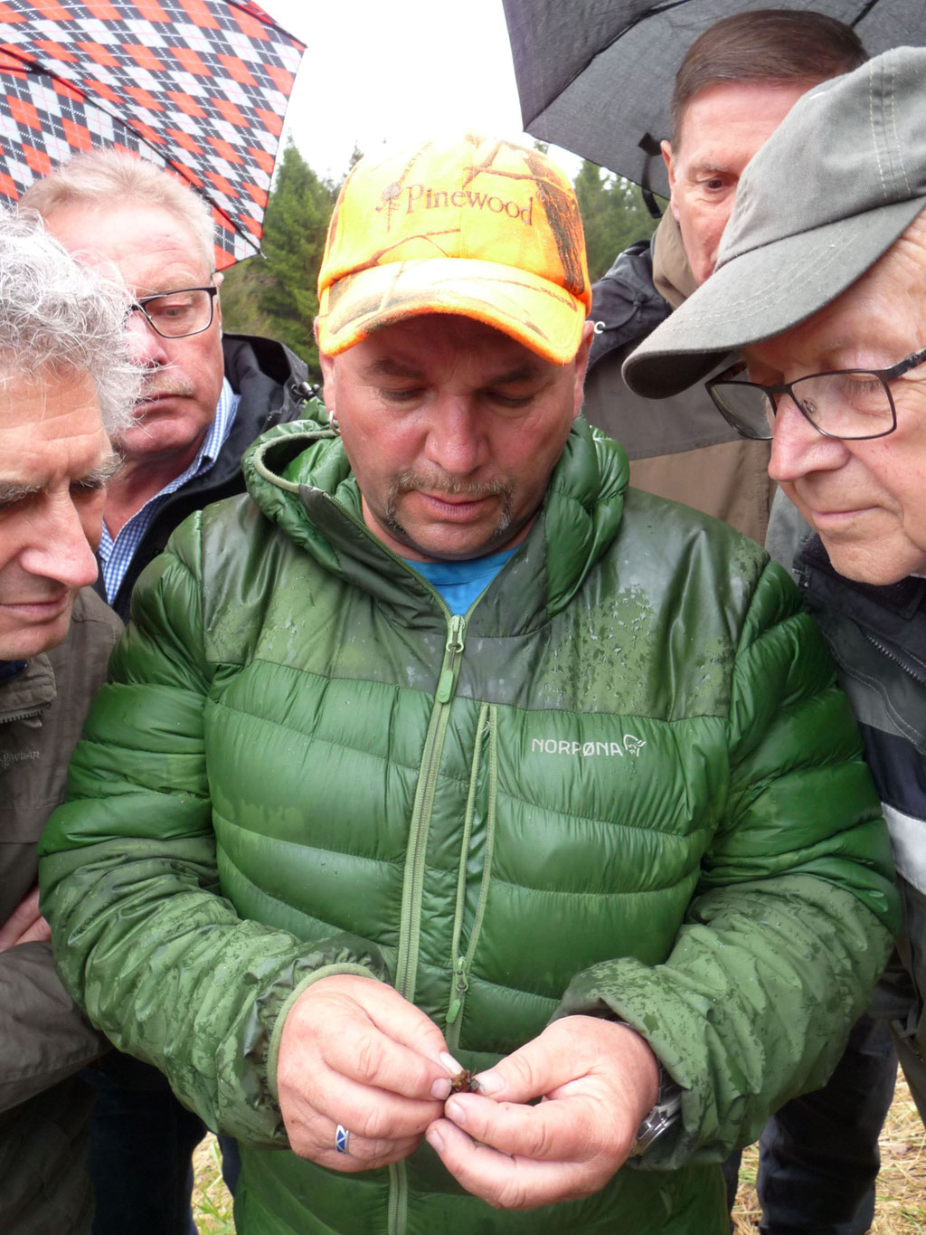 Diplom-Biologe Volkhard Bauer erklärt die Lebensweise einer Köcherfliege.