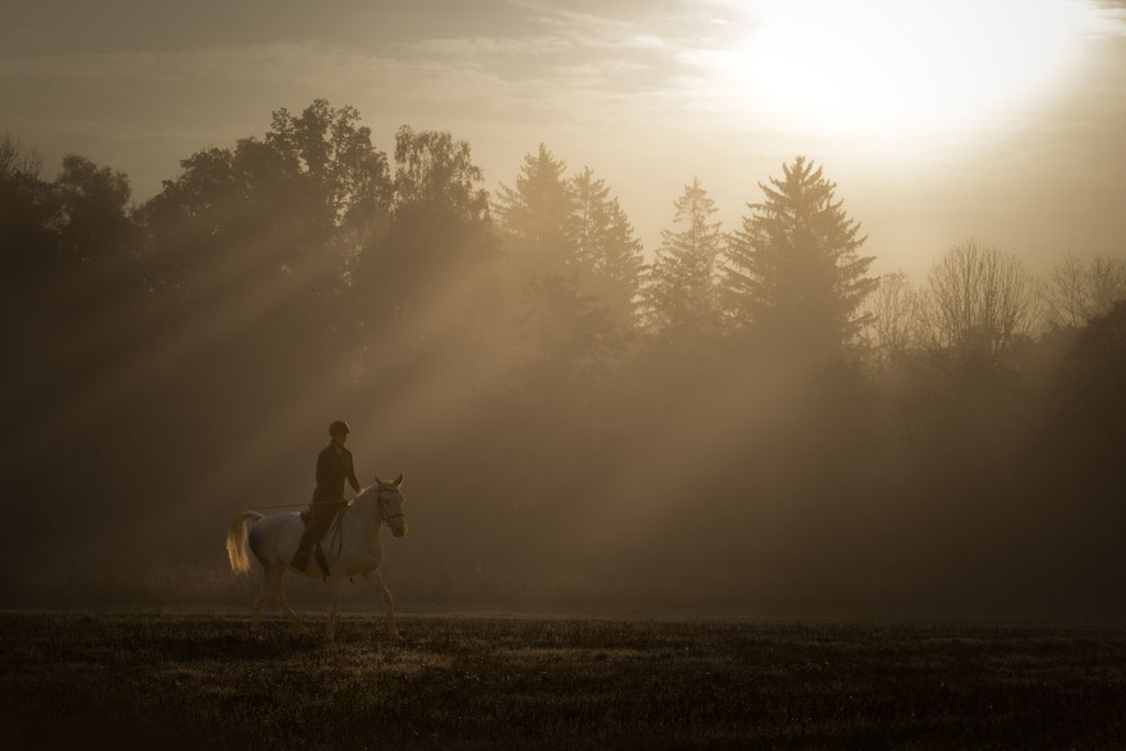 Andrea Obele Fotoshooting mit Pferd; Pferdefotografie; Burghausen; Salzburg; Braunau; in der Nähe; Bayern; Nebel; Reiter