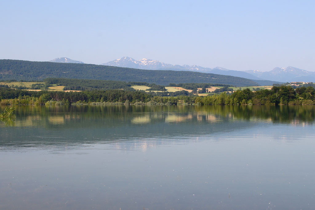 Lac de Montbel